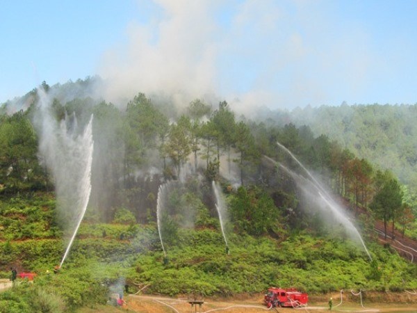 Bộ Nông nghiệp và Phát triển nông thôn: các địa phương cần tăng cường phòng cháy, chữa cháy rừng (Thời sự trưa 22/4/2019)